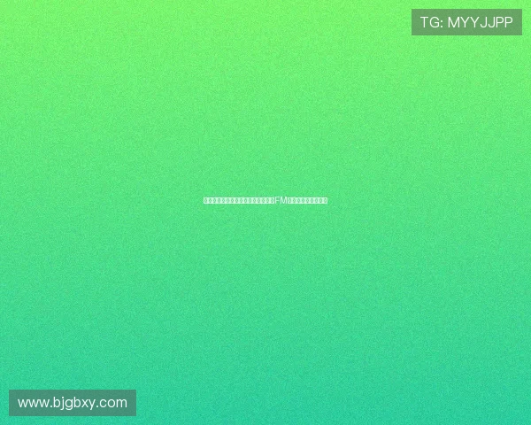 南安普顿主帅：比利时小球队也依赖FM和德转数据工具分析